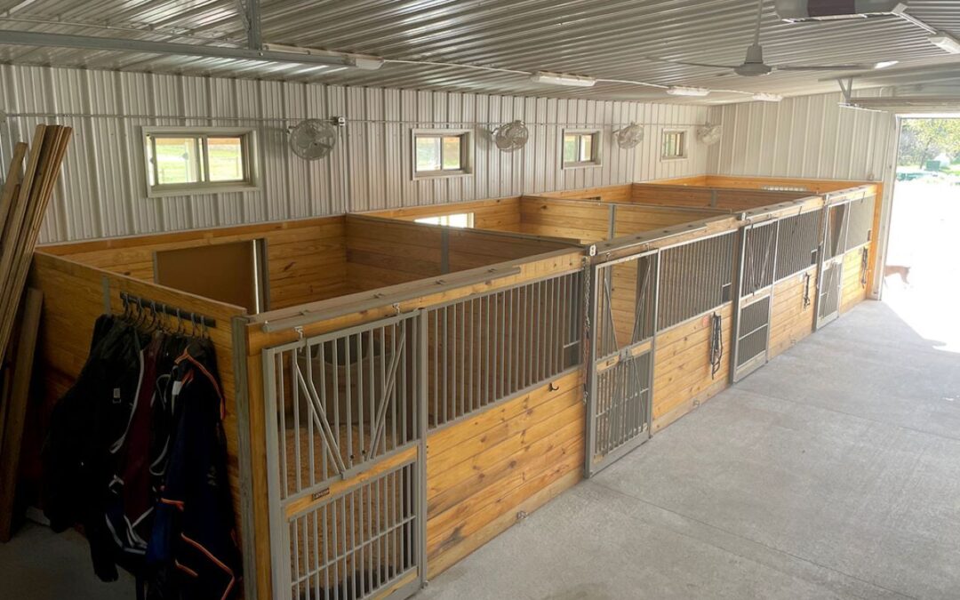Come Inside my Colorado Horse Stables