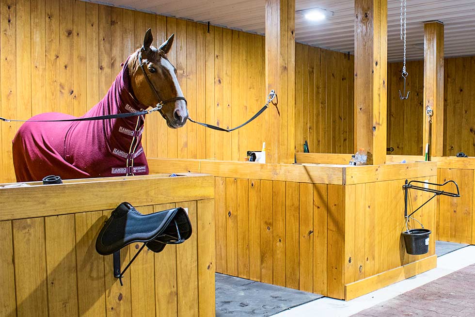 Custom Horse Barn Finish Options Grooming Stalls