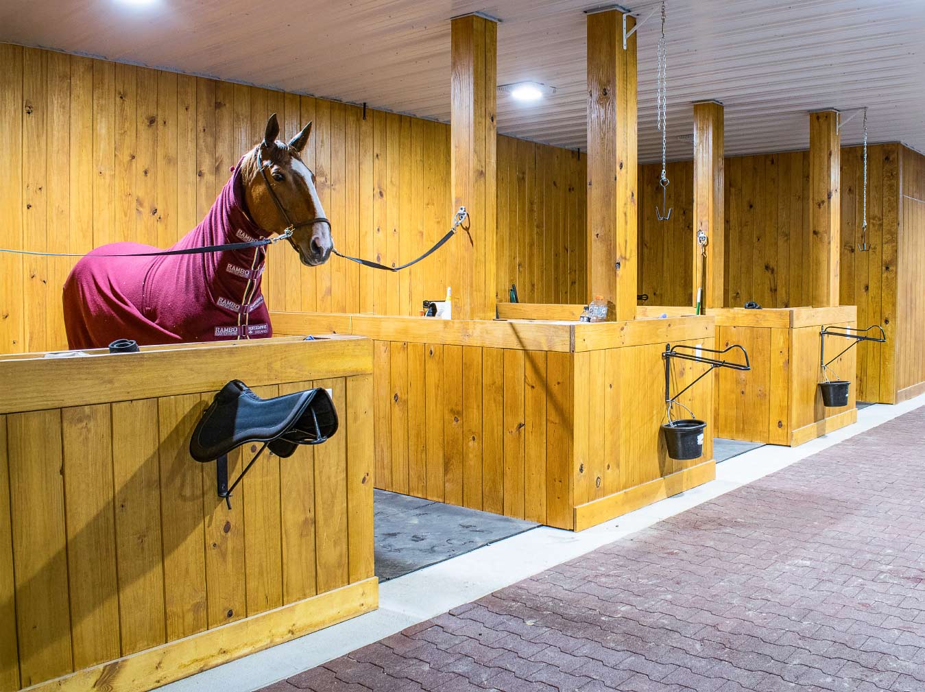 Colorado Horse Barns